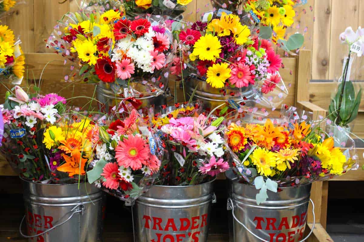 100 BEST THINGS TO BUY AT TRADER JOES! A full post top to bottom of our favorite things to throw in that grocery cart while you're perusing the isles at our favorite neighborhood grocery store. Full post at femalefoodie.com! 