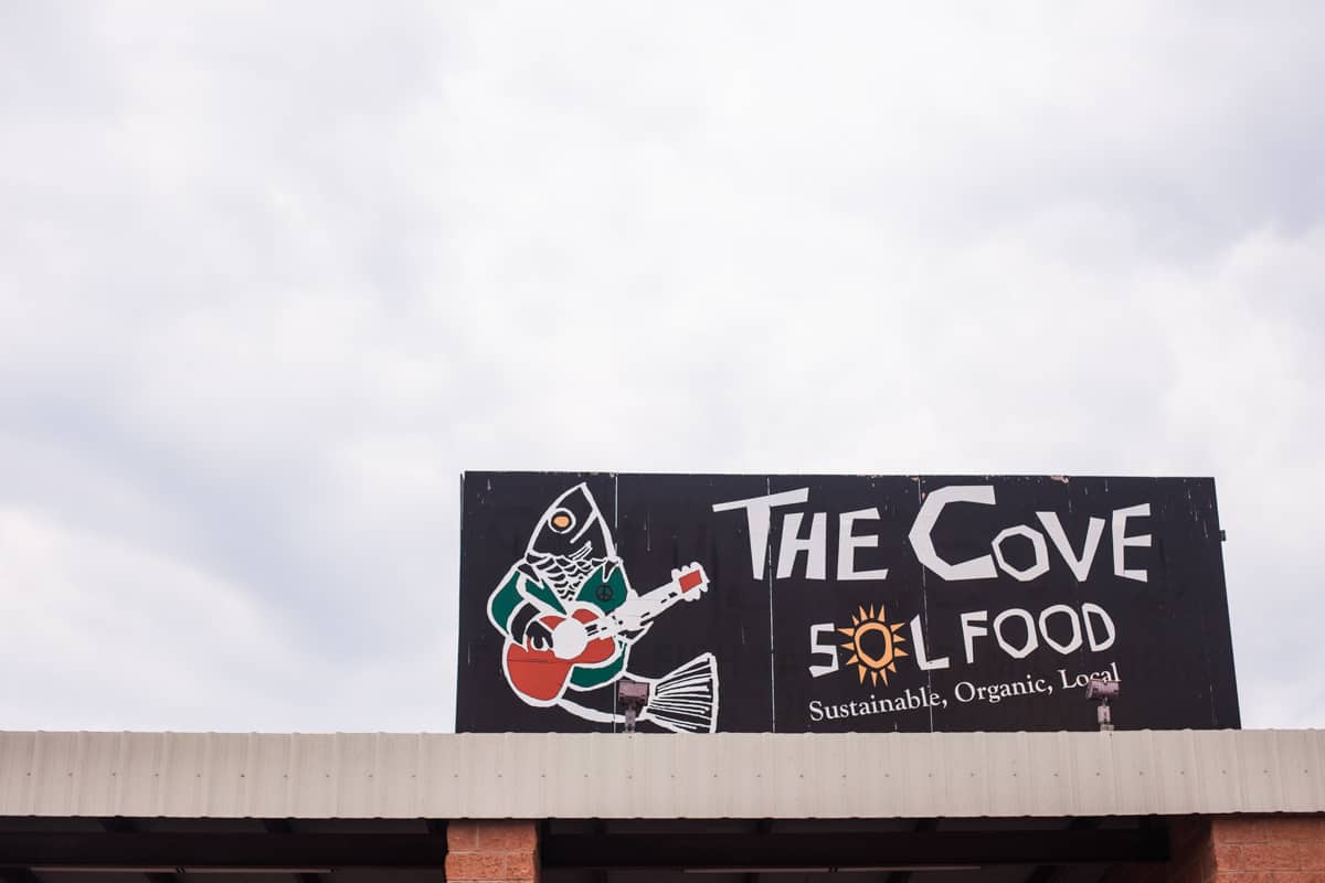 San Antonio: The Cove. Sustainable, organic, local burgers, tacos and salads. 