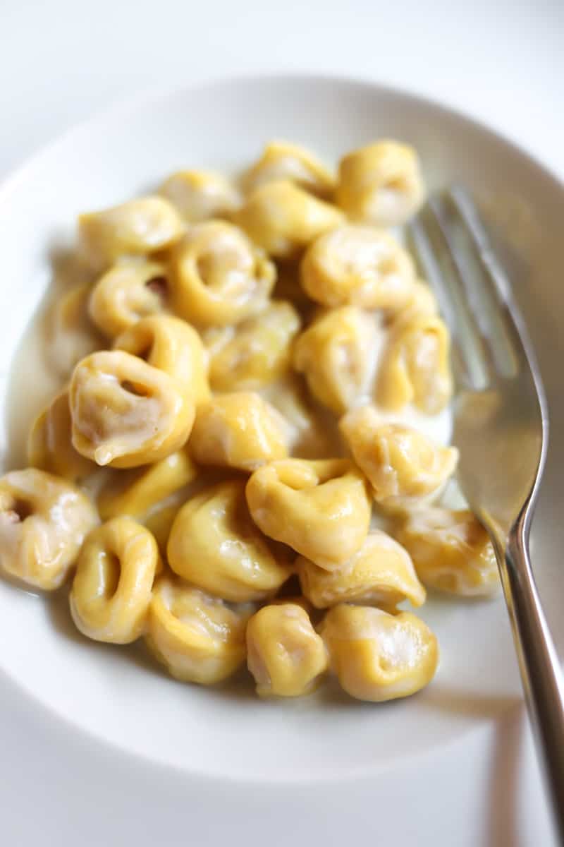 tortellini from Oltre in Bologna, Italy