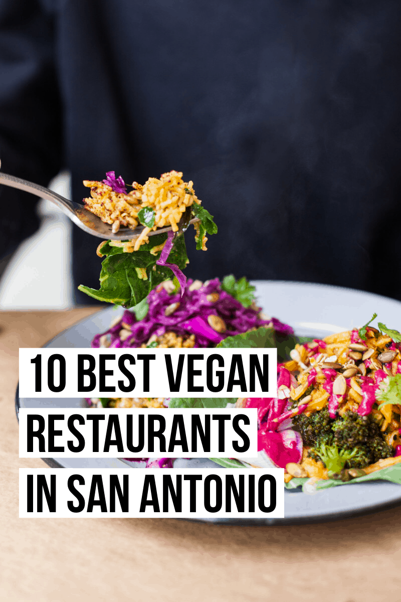 The Alamo City doesn't just offer tacos and Tex-Mex. From burgers to quinoa bowls, here are the best vegan restaurants in San Antonio!
