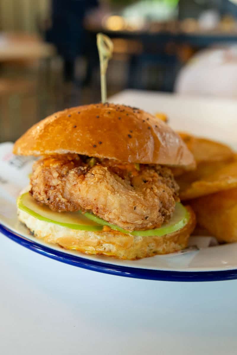 Crispy Chicken Sammy by Ingo's Tasty Food: Downtown Phoenix restaurants