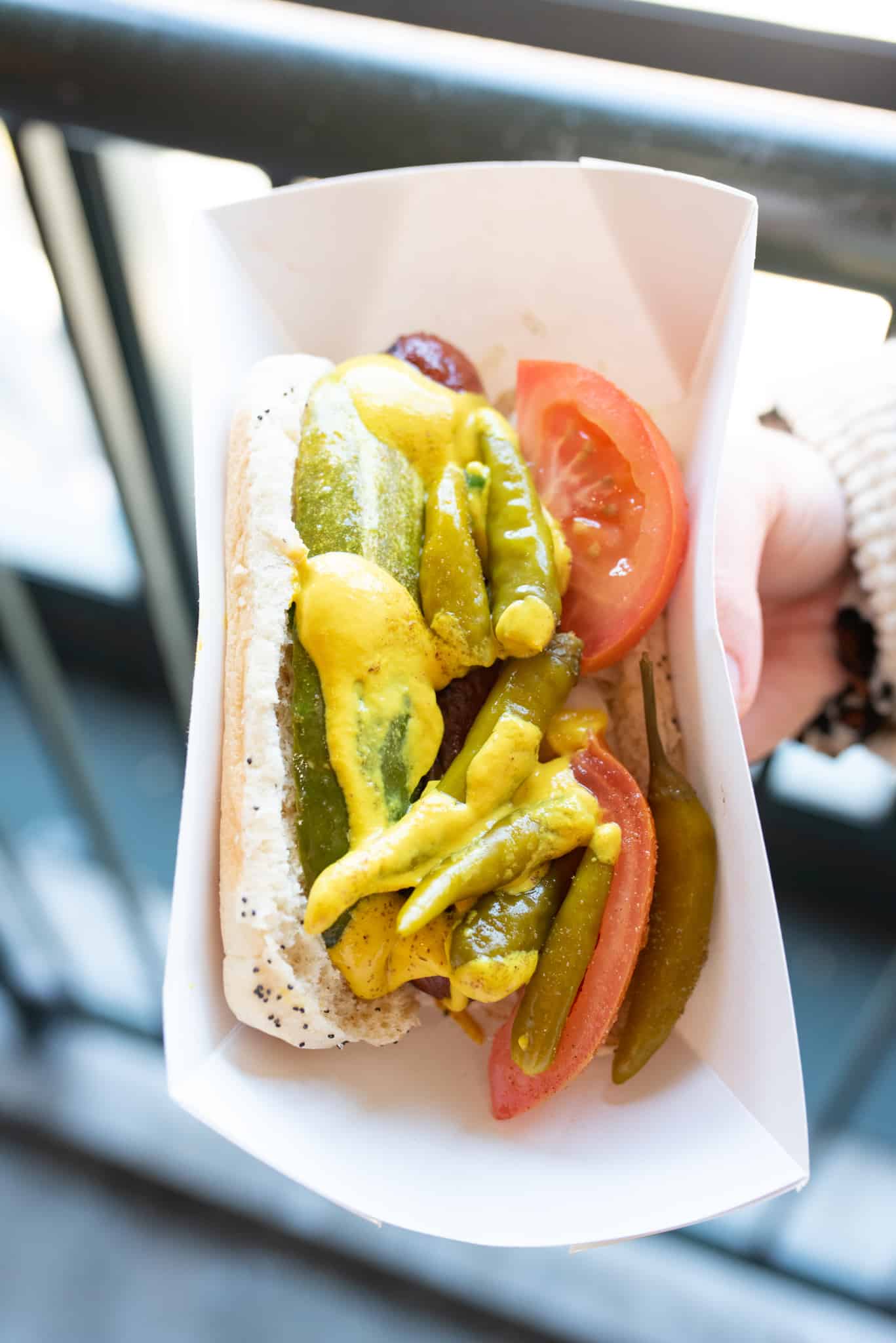 hot dog from Chicago Dog